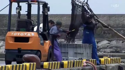 日劇-明日驕陽01