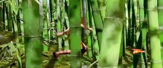 Sintel by Blender Foundation