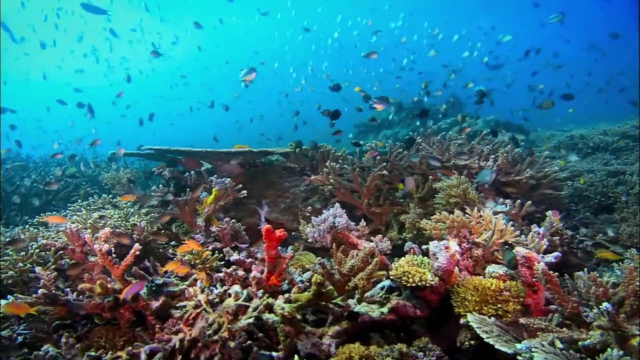 Legacy - Das Erbe der Menschheit Trailer DF