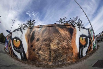 Northamptonshire headlines