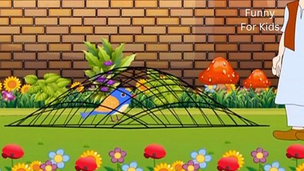 urdu khani _ Cartoon Khani