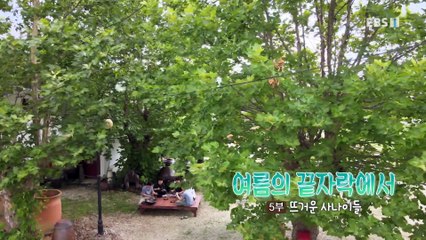 한국기행 - Korea travel_여름의 끝자락에서 5부- 뜨거운 사나이들_#001
