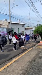 Danser sur les toits - Buzz Buddy