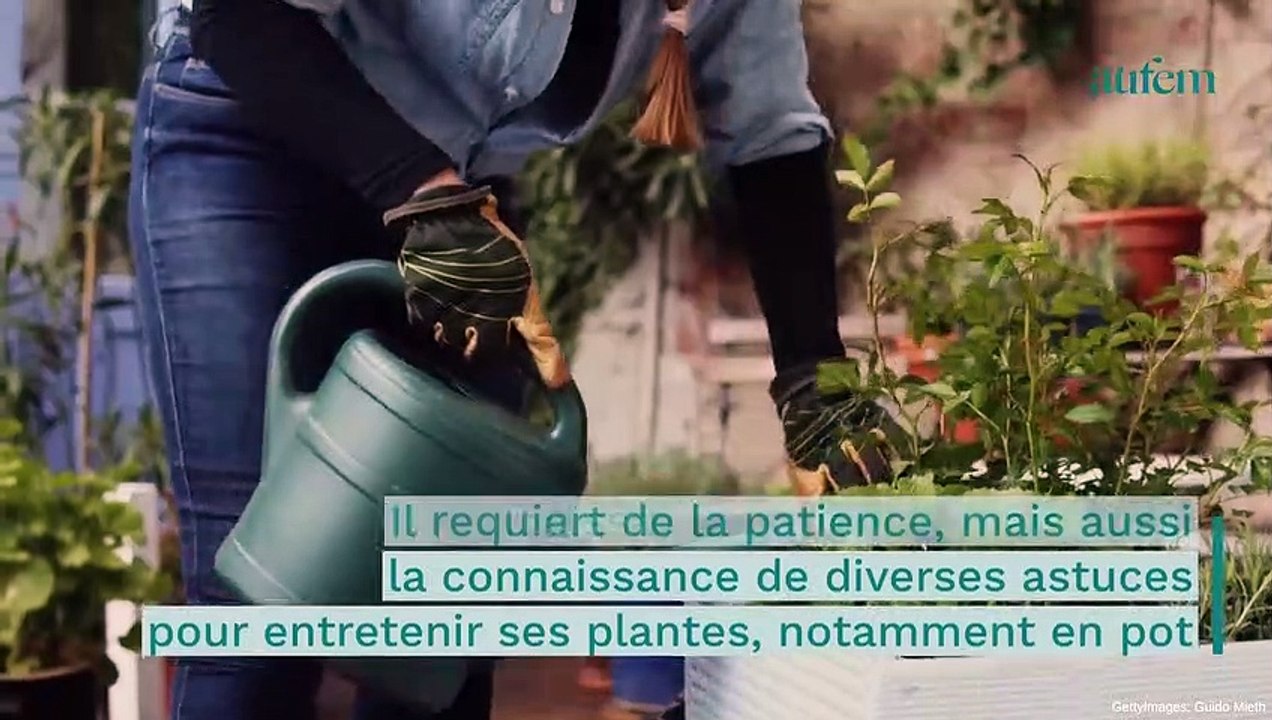 Jardinage : cet aliment de tous les jours est le meilleur des engrais