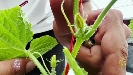 مزرعة صديقة للبيئة في مصر بتقنيات متطورة ومريحة