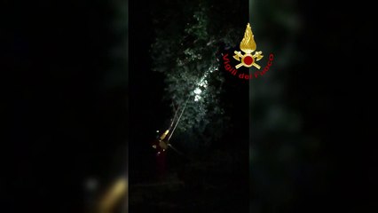 Marche, salvato un uomo che si era rifugiato su un albero