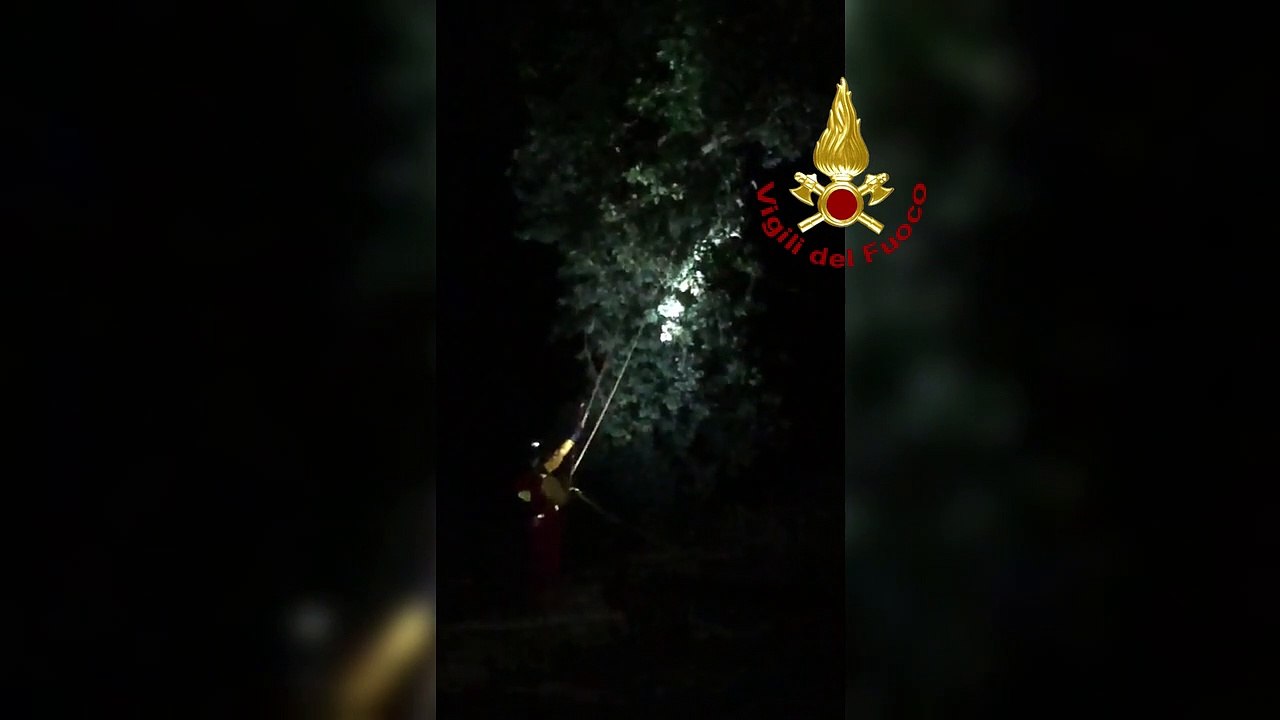 Marche, salvato un uomo che si era rifugiato su un albero