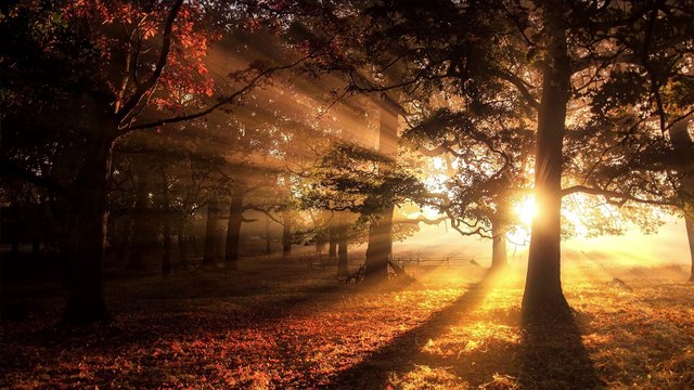 Sunset Stock Footage | Background Video No Copyright Sunset | Royalty Free Videos | Romance Post BD