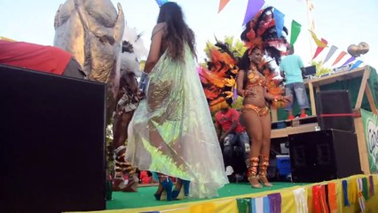 brésiliennes mardi gras FB