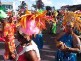 Les Colibris du Morne-Vert