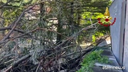 Nubifragio nelle Marche, si cercano i dispersi