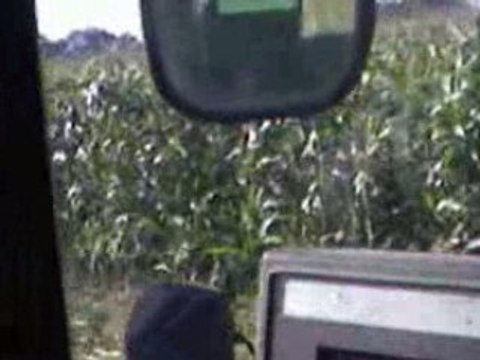 mayotte mahorais agriculture_ensilage mais