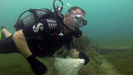 clip nettoyage baie pointe des Nègres