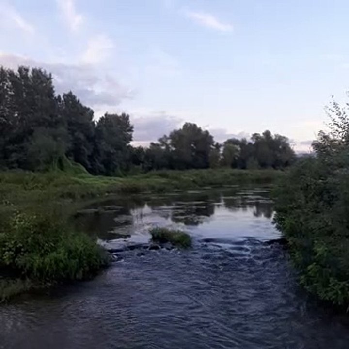 Calm river