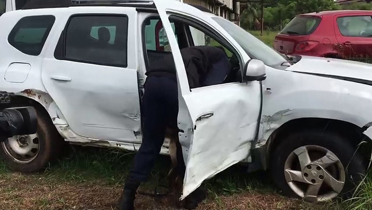 CAYENNE : Un chien pour aider la police