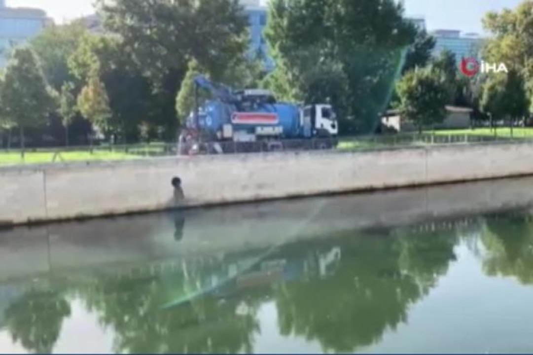 Kağıthanesi Deresi'ni kirleten İBB aracı görüntülendi