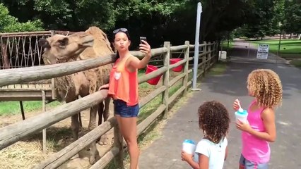 AFVs Wildest Animal Moments  UNEXPECTED Animal ATTACKS