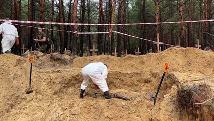 下载视频: Cientos de tumbas en un bosque cerca de ciudad ucraniana de Izium, reconquistada a los rusos