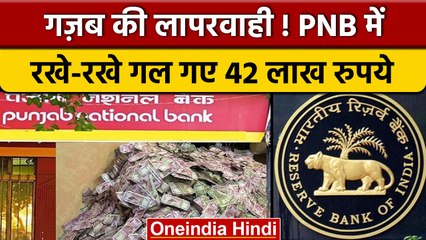 Punjab National Bank में लापरवाही से गल गए 42 lakh रुपए | वनइंडिया हिंदी |*News