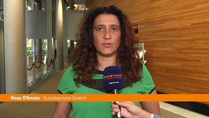 Ue, D'Amato "Accelerare sulle fonti rinnovabili"