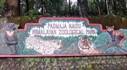 আলিপুরকে হারিয়ে দেশের সেরা চিড়িয়াখানার তকমা পেল কোনটি?  | Oneindia Bengali