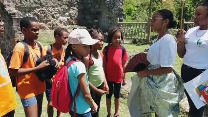 Chateau Dubuc / école