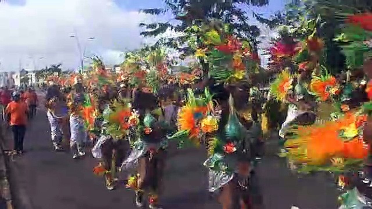 DIm Gras PAP