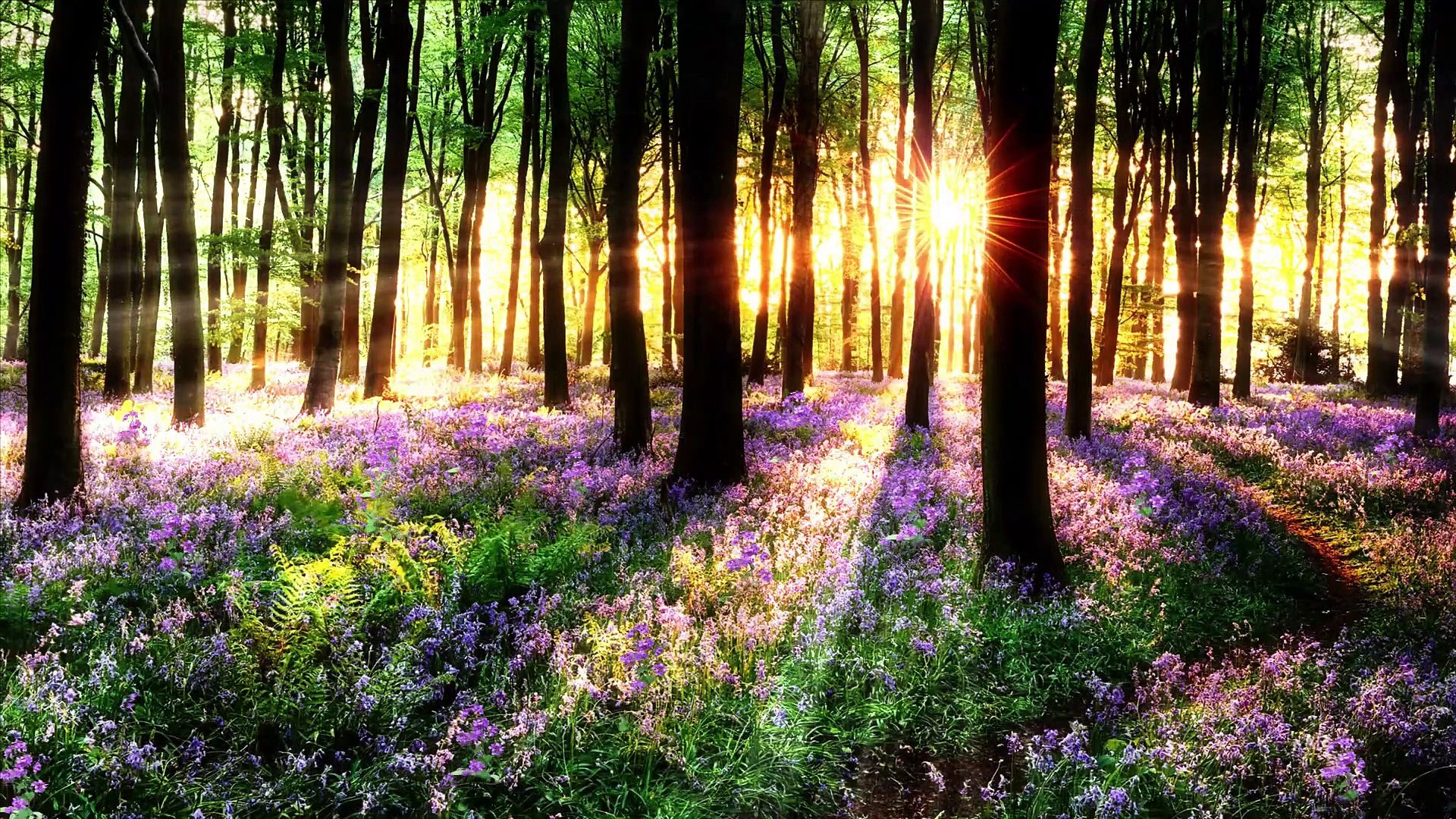 Massage Music -- Peaceful Music- Stress Relief - Calming Music - RelxRana Music 2022