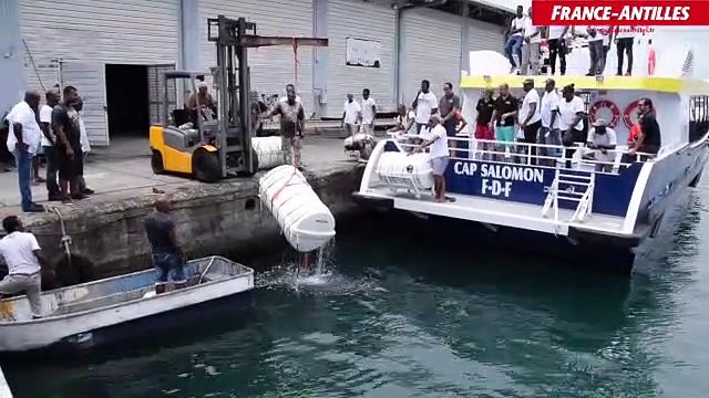 exercice vedettes tropicales