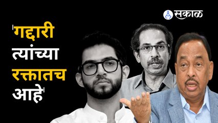 Narayan Rane on Aditya Thackeray : गद्दारी, गद्दारी म्हणून हिणवणाऱ्या आदित्य ठाकरेंचा समाचार घेतला