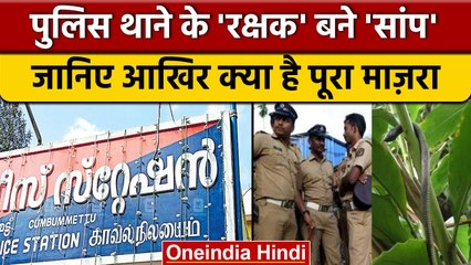 Chinese snakes in Idukki police station: आखिर किससे तंग आ गई थी पुलिस | वनइंडिया हिंदी |*News