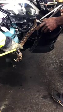 serpent récupéré par les pompiers