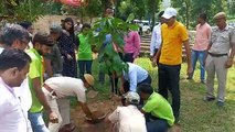 पर्यावरण के लिए ओजोन परत का संरक्षण जरूरी