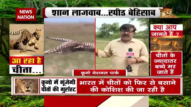 Madhya Pradesh Breaking : PM मोदी के जन्मदिन के दिन Africa से भारत आएंगे चीतें | MP News |