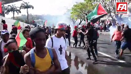 Procès militants anti-chlordécone