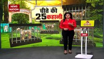 Madhya Pradesh Breaking : तेज रफ्तार के मालिक चीतें की 25 कहानियां | MP News |