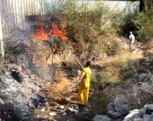 Son dakika haberi! Marmaris'teki yangın ormana sıçramadan kontrol altına alındı