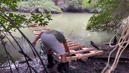 Guayaquil se lanza a una nueva cruzada para salvar a su estero moribundo
