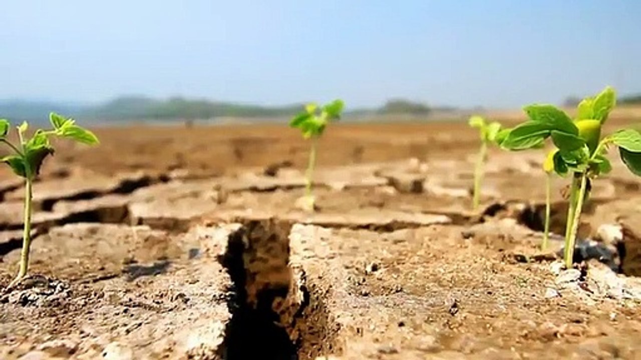 A vendre - Maison - PALAISEAU (91120) - 7 pièces - 133m²