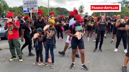 Défilé 27 novembre grève générale Pointe-à-Pitre