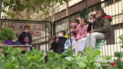 Crean un hotel de insectos en Ermitagaña