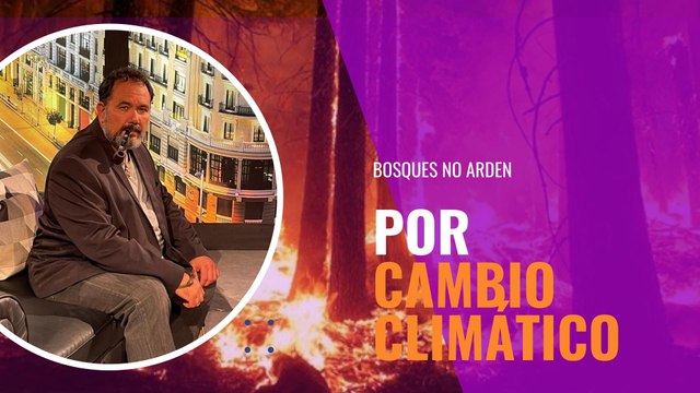 No, los bosques no arden por el cambio climático