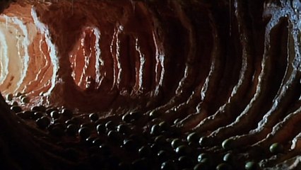 Contamination Bande-annonce (EN)