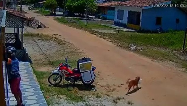 Ce livreur se fait voler une commande sans comprendre ce qui s'est vraiment passé