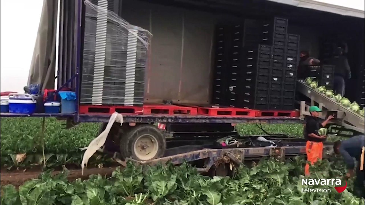 AGRO DIGITALIZAR.mp4