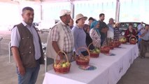 Ankara haberleri... Gölbaşı'nda elma ve domates yetiştiriciliği yarışması düzenlendi