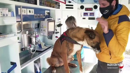 Veterinaria sobre ruedas y recorriendo Navarra