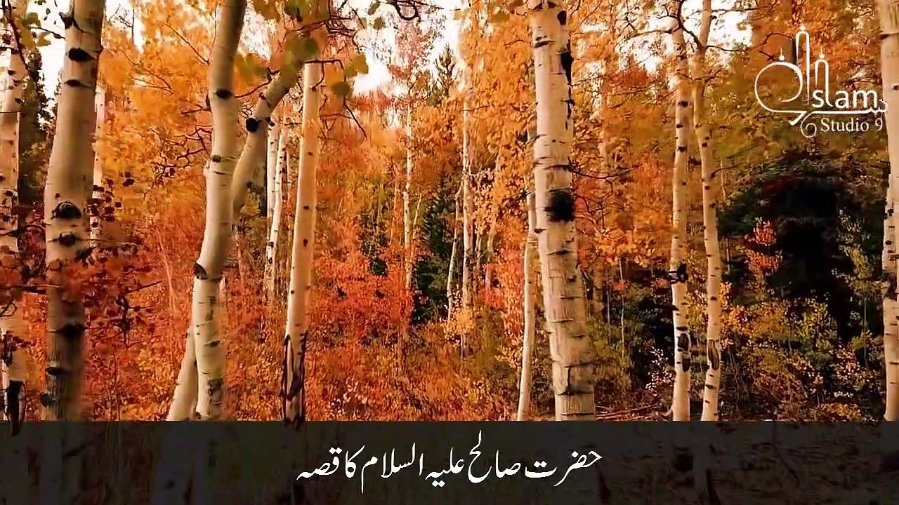 Hazrat Saleh As ka Waqia _ Full Story of Prophet Saleh (AS) All Life Events In Detail