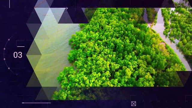 Reporte Climático 59 | Justicia climática: del concepto a la acción