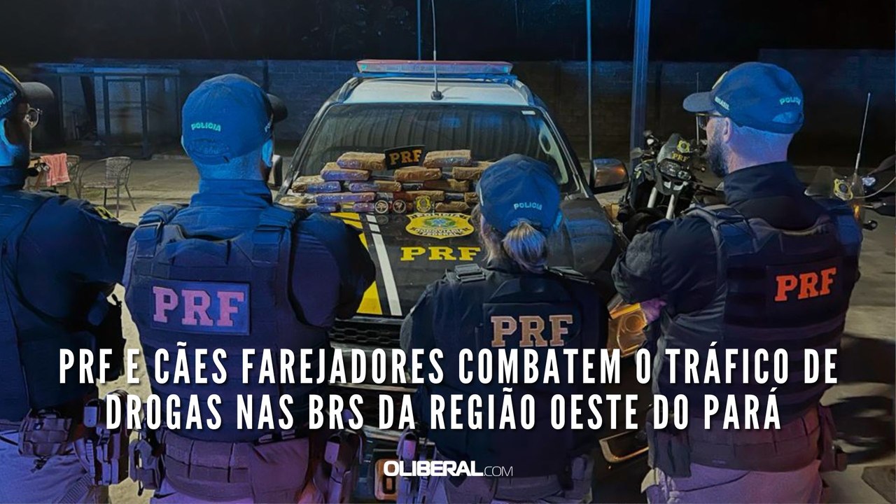 PRF e cães farejadores combatem o tráfico de drogas nas BRs da região oeste do Pará